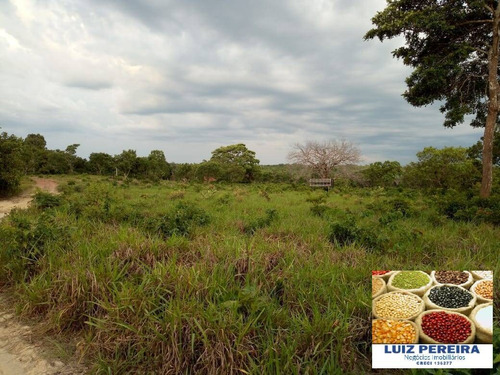 Imagem 14 de 15 de Fazenda À Venda No Vale Do Araguaia - To - De 22 Alqueirões (dupla Aptidão) - 1651