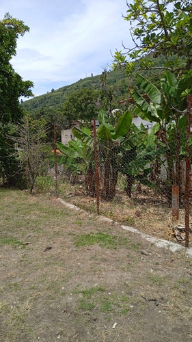 Imagen 9 de 10 de Terreno En Parte Media De La Pedregosa