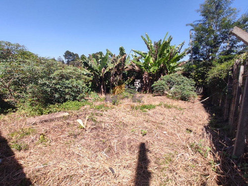 Imagem 12 de 12 de Terreno Para Venda Em Suzano, Jardim Das Flores - 944_1-1772740