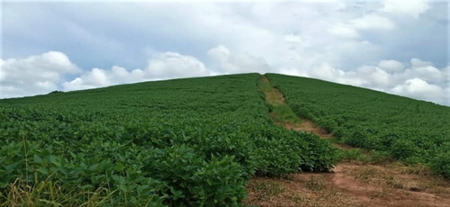 Fazenda A Venda No Sul De Minas Com 470 Ha - Bcp93