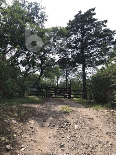 Imagen 26 de 30 de Vendo Campo De 2, 5 Hectareas Entre Unquillo Y Cabana