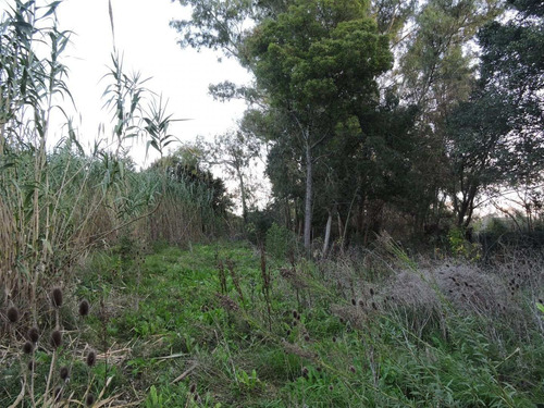 Imagen 4 de 5 de Lote De 15x50 En Veronica, Punta Indio