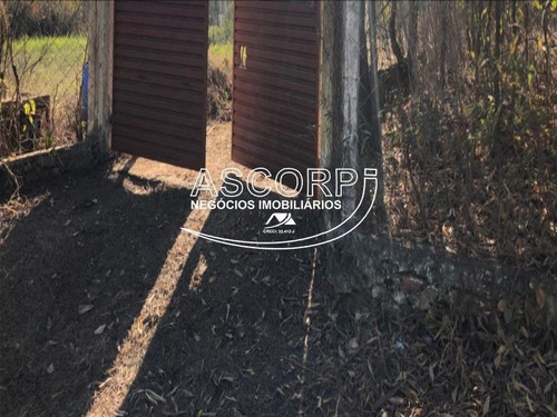 Imagem 18 de 22 de Ótimo Terreno Para Chácara No Ondinhas Em Piracicaba (código Ch00043) - Ch00043 - 69881080