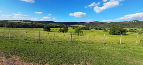 Imagem 2 de 5 de Fazenda Com 560 Hectares Para Lavoura E Pecuária Em Lavras