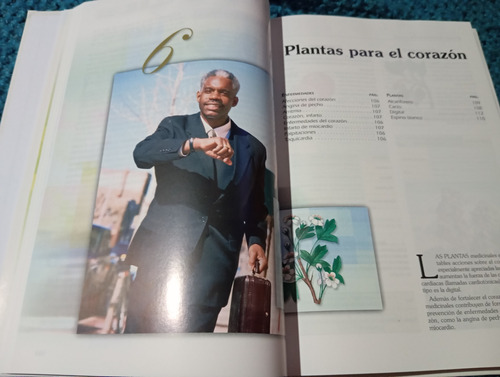 Detalladas Ilustraciones Botánicas De Cada Una Delas Plantas