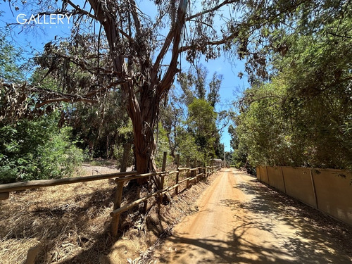 Soleado Terreno En Aguas Claras, Hijuela El Parque Cachagua