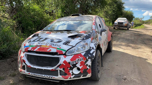 Maxi Rally Peugeot 208