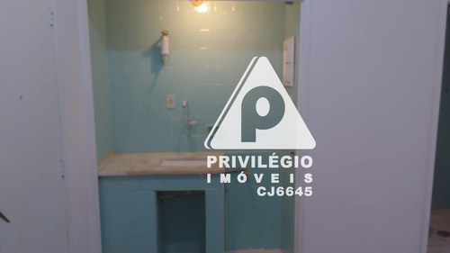 Apartamento Para Aluguel, 1 Quarto, Laranjeiras - Rio De Janeiro/rj - 29489