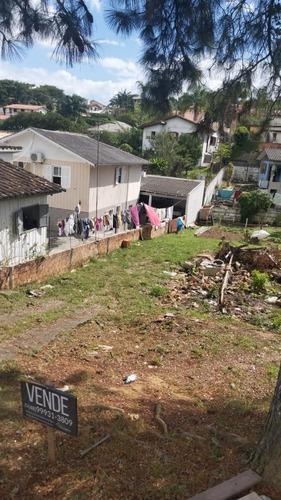 Imagem 3 de 4 de Terreno - Lote Seis - Ref: 250 - V-250