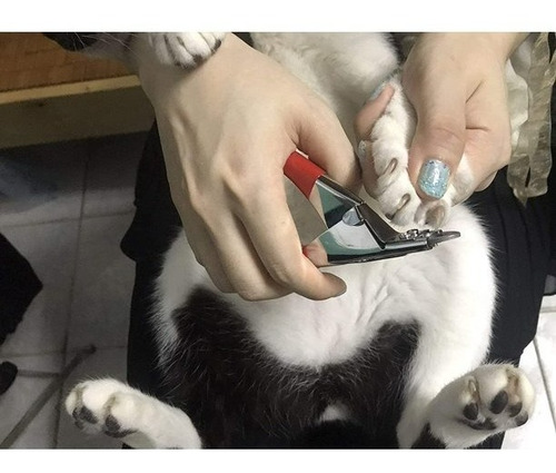 Imagen 7 de 9 de Corta Uñas Mascotas Perro Gato Tipo Guillotina Alicate Lima
