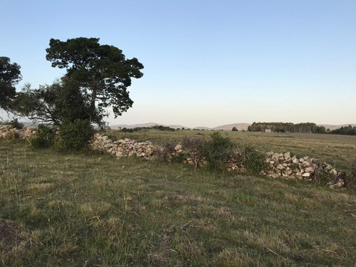 Chacras De 5 Hectareas Pueblo Eden Ruta 12 Punta Del Este