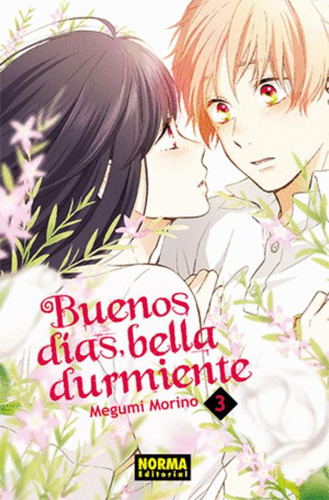 Libro Buenos Días, Bella Durmiente 3