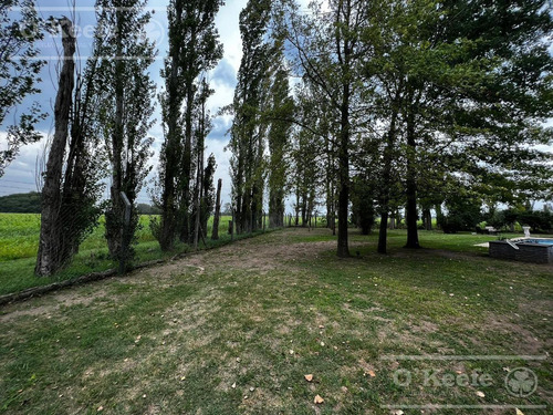Imagen 29 de 30 de Chacra En Venta De 17 Has En San Andres De Giles. Excelente Casco