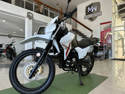 Motomel Skua Solo Dni