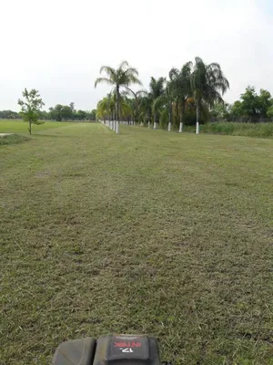 Quinta en venta