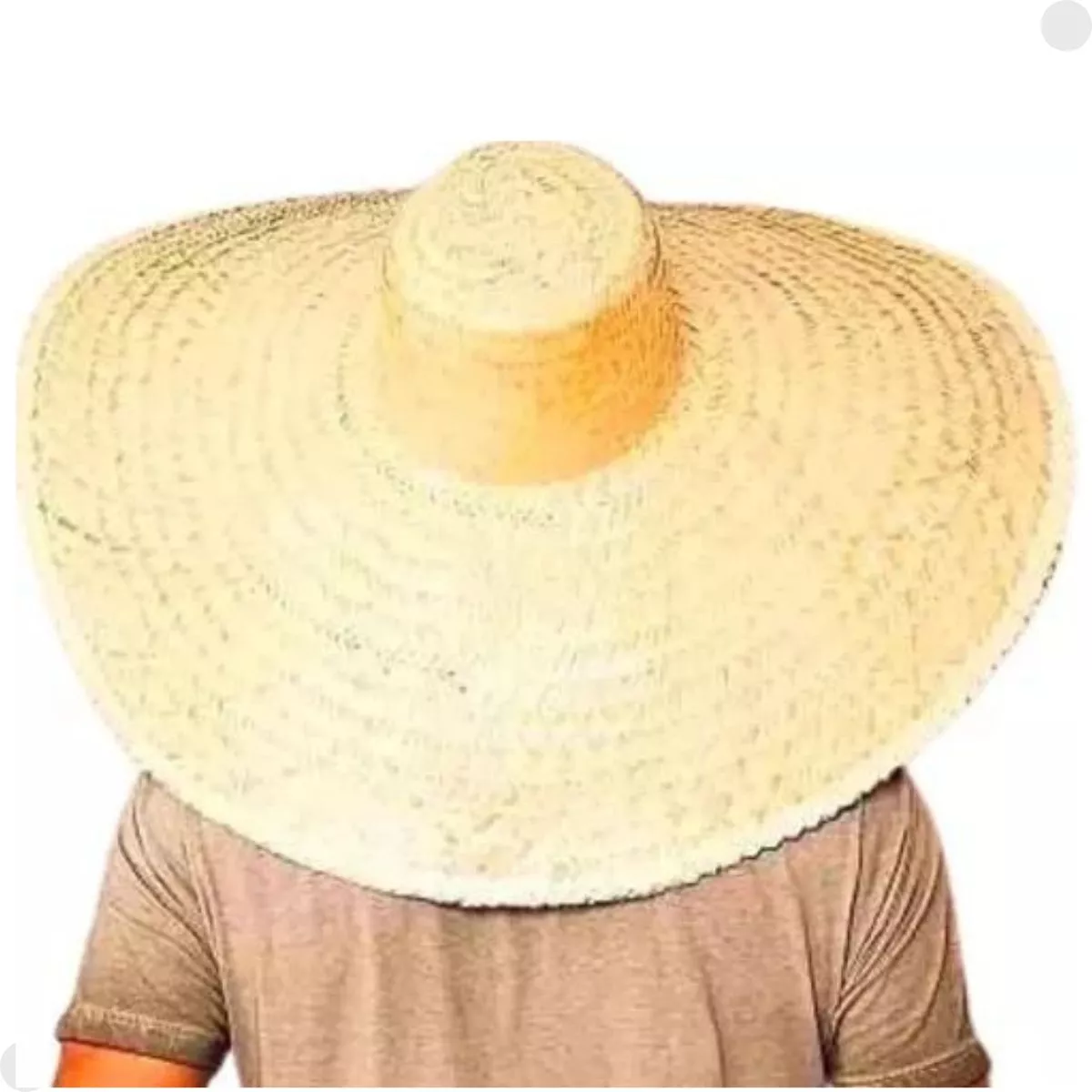 Primeira imagem para pesquisa de chapeu mexicano