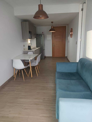 Se Arrienda Departamento Amoblado (108037)