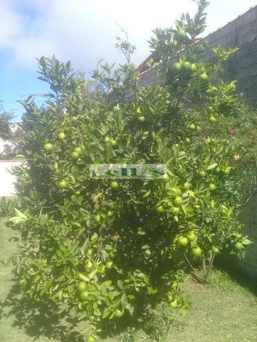 Imagem 6 de 12 de Chácara Para Venda - 1529
