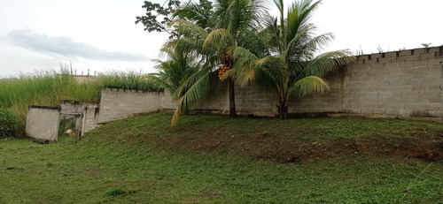 Parcela Terreno Unifamiliar Jardín Mañongo Wasi 5043715