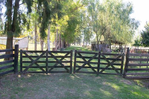 Venta Excepcional Predio De 23 Hectareas