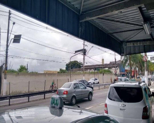 Imagem 2 de 3 de Terreno À Venda Em São Miguel Paulista - Te0276