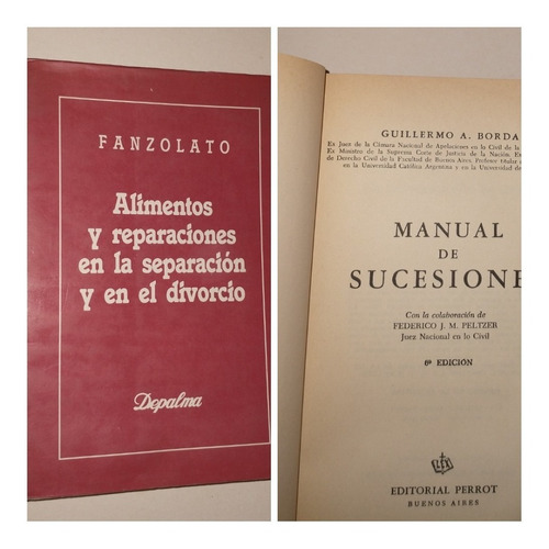 Manual De Sucesiones- Borda/separacion Y Divorcio- Fanzolato