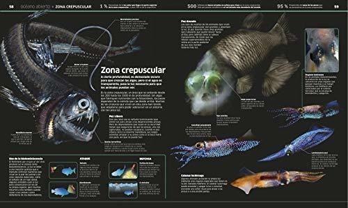 Imagen 2 de 6 de Dk Oceanos El Planeta Bajo El Agua (tapa Dura)