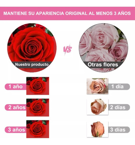 Flores Artificial Rosa Y Oso Regalos Decorativas Para Mujer Rojo