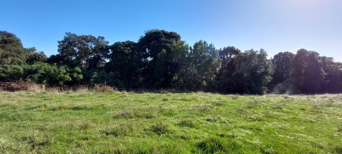 Terreno Orilla Rio Maullin