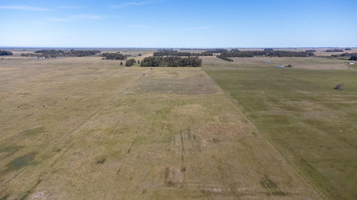 Venta De Campo En Veronica