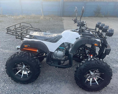 Imagen 3 de 10 de Heng Jun Atv 250 Cc
