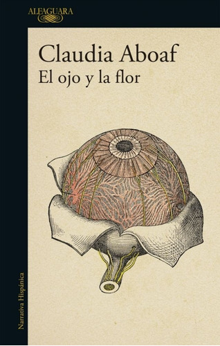 Ojo Y La Flor, El - Claudia Aboaf