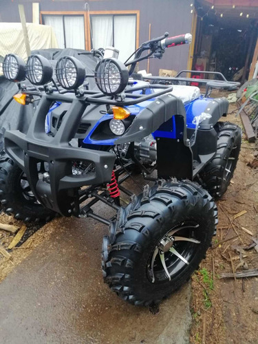 Imagen 7 de 10 de Cuatrimoto Atv Motor 250