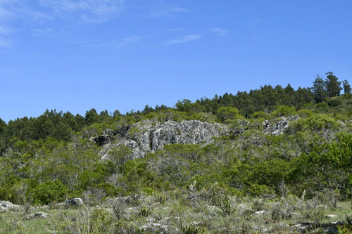 Venta Chacra Sierra Minas Ruta 60 Pan De Azucar Minas