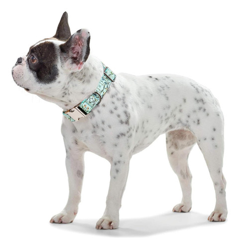 Collar Para Perros Timos, Collar Para Perros Suave Ajustable