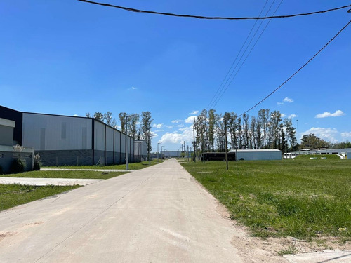 Imagen 4 de 24 de Galpón Industrial A Estrenar 2500 M² Cub. Parque Industrial Moreno 1- Moreno
