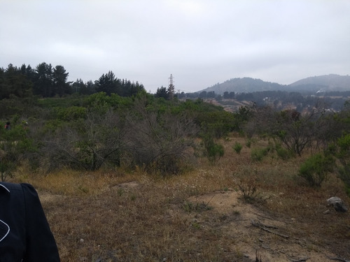 Terreno Rebajado Camino Internacional Con Vista A Carretera