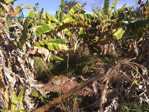 Imagem 14 de 24 de Sítio Com 2 Dormitórios À Venda, 242000 M² Por R$ 1.000.000,00 - Zona Rural - Abadiânia/go - Si0004