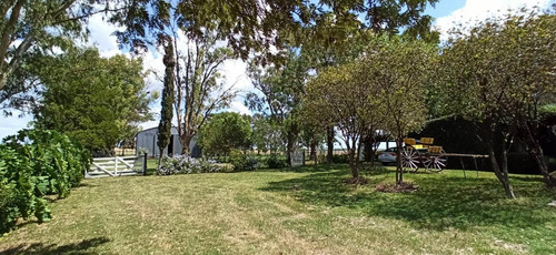 Imagen 5 de 30 de Campo En Venta