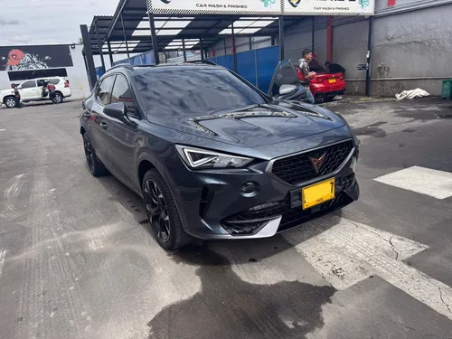 Cupra formentor 2.0 Tsi Metalizado Dsg