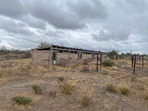 Imagen 13 de 15 de Chacra En Alquiler - Galpón - Ciudad Industrial - Neuquén