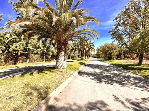 Sitio Condominio Camino El Algarrobo