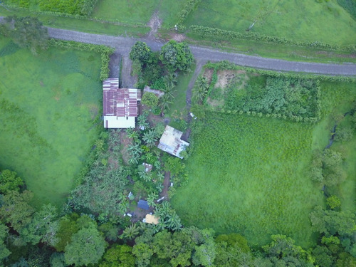 Imagen 7 de 10 de Excelente Finca, Lo Que Busca , Agrícola, Ganadera, Bosque