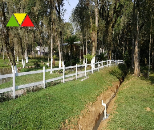 Imagem 16 de 30 de Chácara Em Cai De Baixo - Ch00088 - 34982990