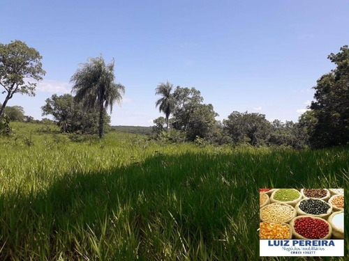 Imagem 3 de 5 de Fazenda À Venda Em Camapuã - Ms - De 415 Hectares (pecuária) - 1701