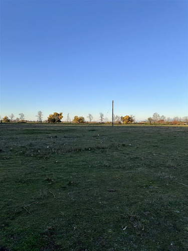 Terreno 4,57 Has. Orilla De Camino Km.6 En Venta En Chillán