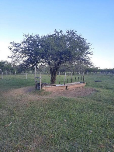Imagen 25 de 29 de Oportunidad Campo Ganadero En Federal Entre Ríos