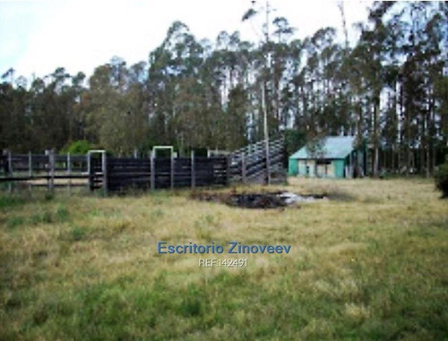 Chacra 7has Próxima A Piedras De Afilar En Canelones