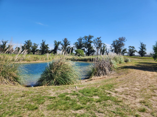 Lote Al Golf Con Vistas A Laguna En Everlinks (escriturado)