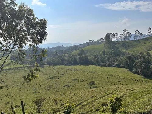 Vendo Permuto Finca Líbano Tolima